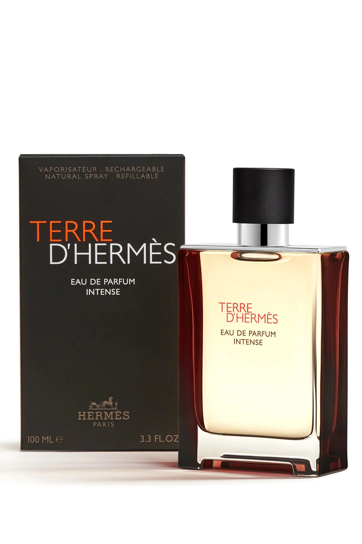 Hermès Terre d'Hermès EDP 100 ml Erkek